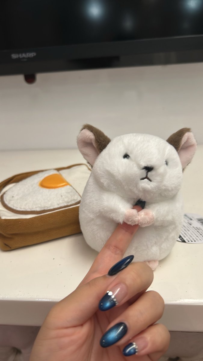 AisuMarmot's tweet photo. 今日の相棒
ちんちらのぬいぐるみ

ぬいぐるみ見せてると見せかけて
ネイル見せてる https://t.co/hOZtOsOLVm