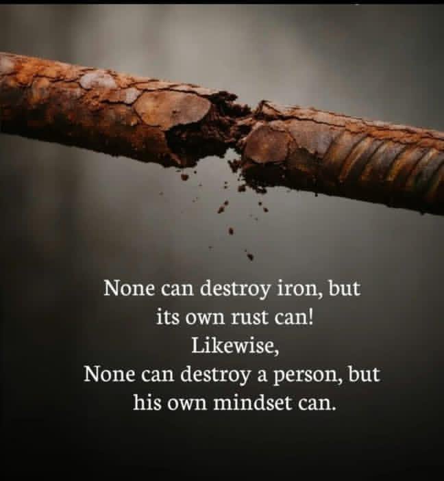 MansBible_'s tweet photo. Your own mindset will destroy you if you can't control it. https://t.co/HMR8yhnMJw