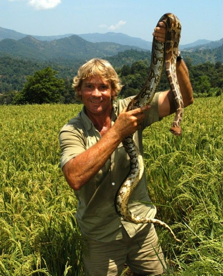 adonispara's tweet photo. I remember watching Steve Irwin as a kid and thinking nobody could possibly enjoy being alive that much. It took me two decades to figure out what he was on about. RIP king. https://t.co/BHkIzv3r34