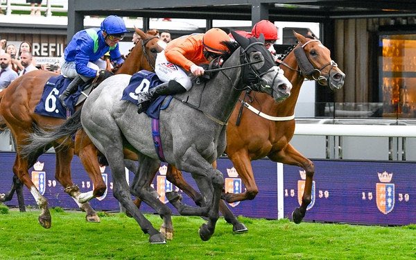 byerleystuduk's tweet photo. 2️⃣ LISTED PLACES FOR GREY CUBAN

Last Saturday he was narrowly denied victory to finish🥈in the L. Virgin Bet Stand Cup Stakes,

𝘴𝘦𝘷𝘦𝘯 𝘥𝘢𝘺𝘴 𝘭𝘢𝘵𝘦𝘳…

he ran a gallant race to finish🥉on Ayr Gold Cup day in the L. Doonside Cup Stakes!

🎓 ConGRADulations! https://t.co/rZFtzFDwRV