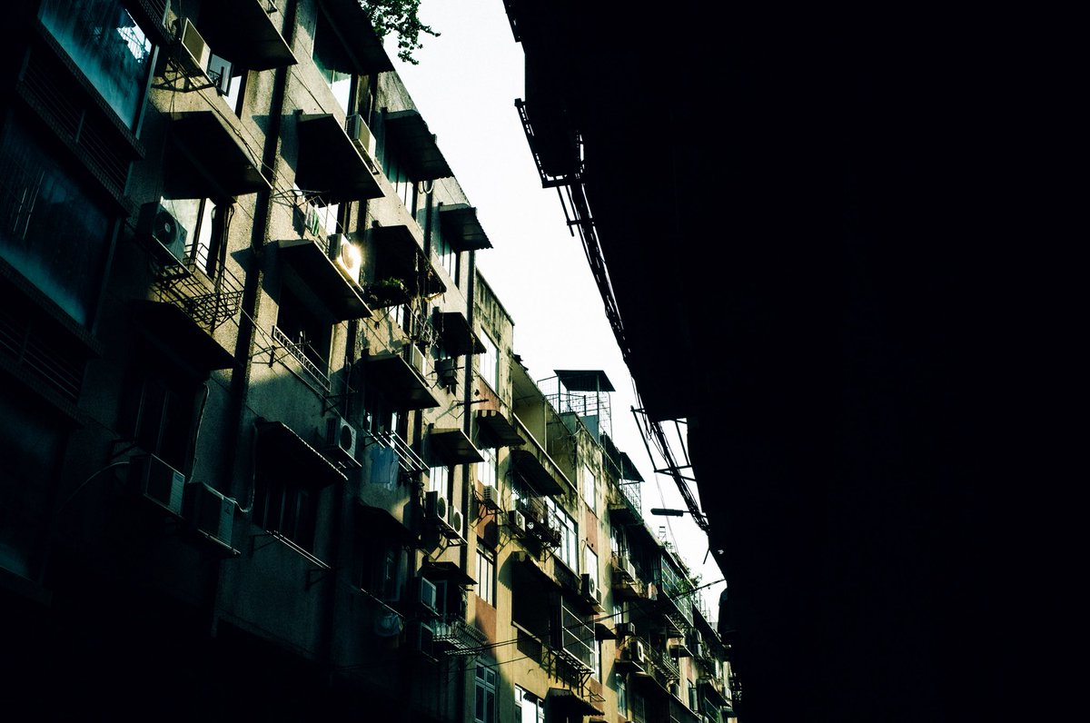 matsuda_photo's tweet photo. 近づくと生活で、離れると景色になる。
足場の奥も、路地の奥も、同じ滞在の昼だった。 https://t.co/IFdDp5Puhk