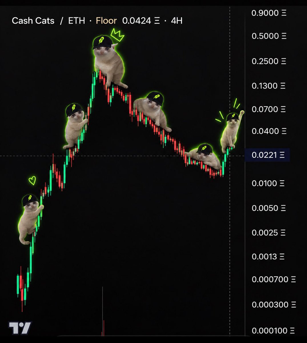 EssKkim0's tweet photo. Whatever your bull case is… it’s not bullish enough. Put the cash in the cat.
@cashcatss https://t.co/20E5l41Bix