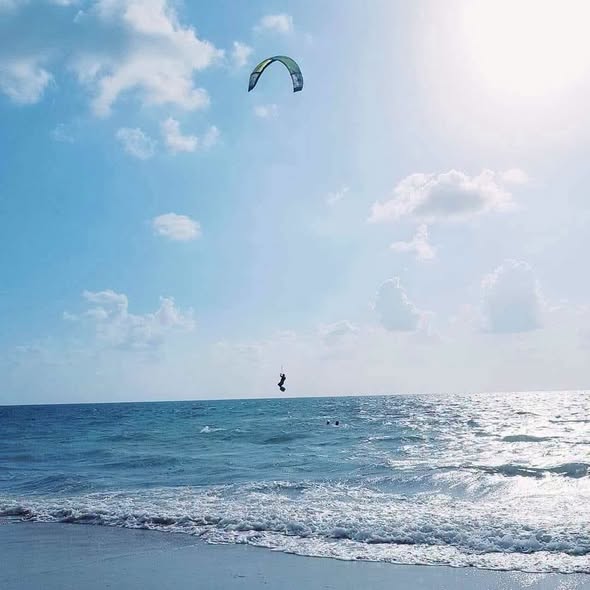 _Salima_Hamed_'s tweet photo. بحر الحليس 🏝️🌴💙
من أجمل شواطئ بنغازي، قريب من المدينة وفيه أجواء بحرية ترد الروح 😍🇱🇾
رملة، بحر، ونسمة حلوة.. ليبيا زين على زين ❤️ https://t.co/SNqhSjVYHD