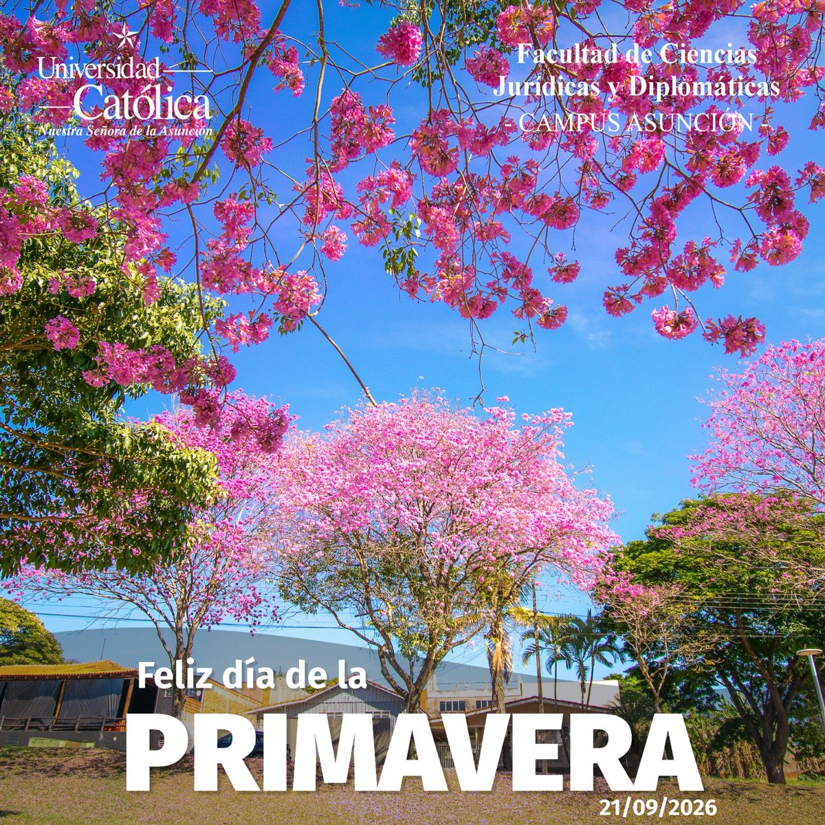 ucderechoasu's tweet photo. 🌼🌺 Feliz día de la Primavera para todos!! ✨️🌷🌷🌷 https://t.co/DbSZMKToPh