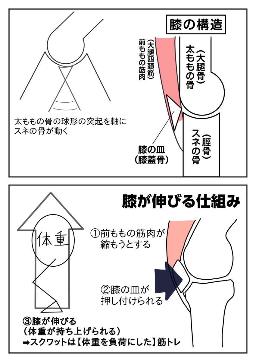 NakayosiHitori's tweet photo. 自分の重心の位置をしっかり意識しましょう！

膝がつま先と同じ向きで、足の裏全体に体重をかけるように意識してしゃがむと、よほどのことがない限りはお尻を突き出した姿勢になると思います！

上がる時は、脚を伸ばすのではなく、床を踏み込むイメージでやるとお尻に効きますよ〜❗️

#姿勢活 https://t.co/IJ0fFJY44P