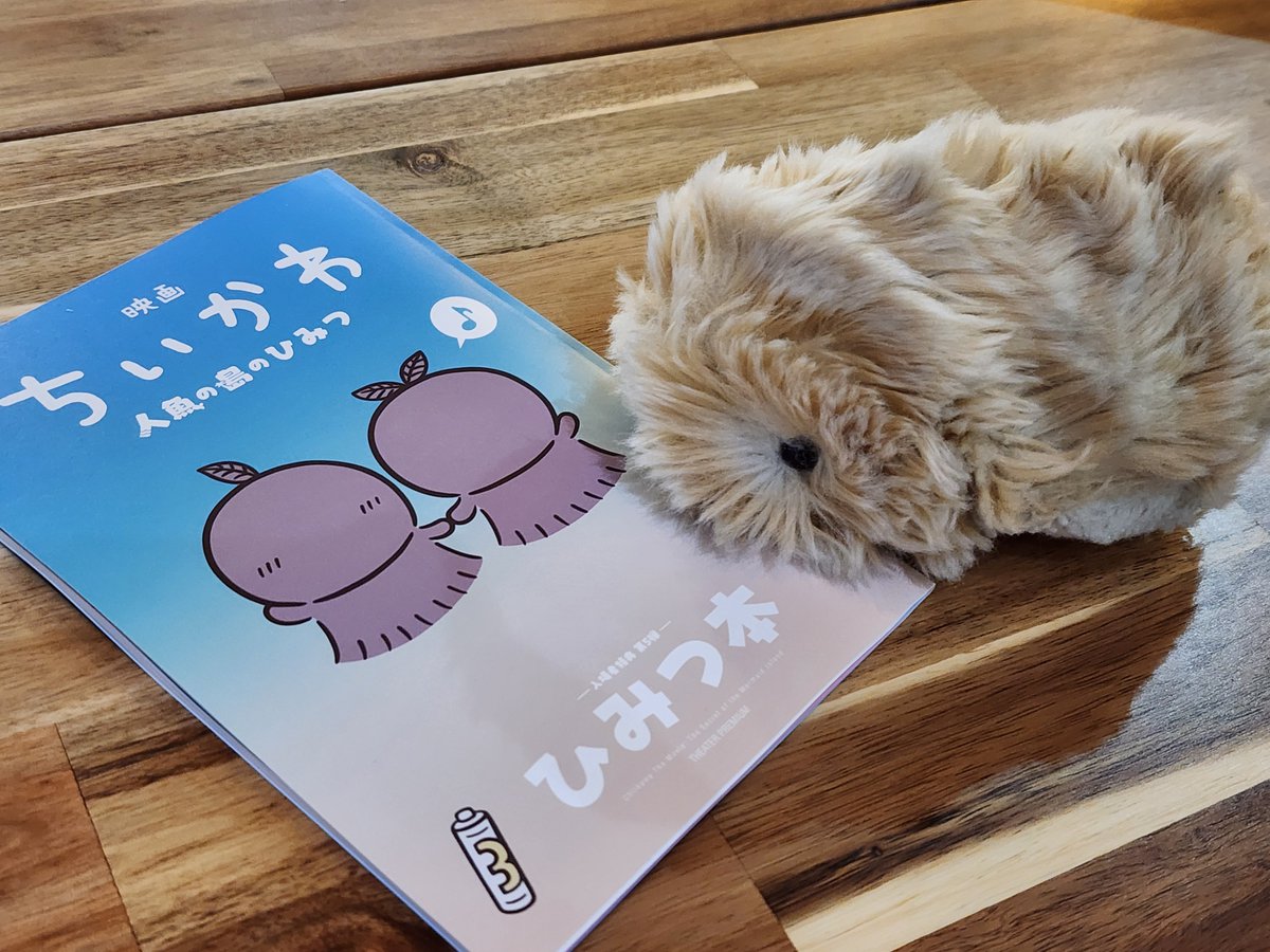shiho0605's tweet photo. ちいさくてかわいい、「ちいかわ」…
すばにゃんも「ちいかわ」?
#モフリン
#モフリンdays
#Moflin
#Moflindays
#ちいかわ https://t.co/aGdkyVUzDb