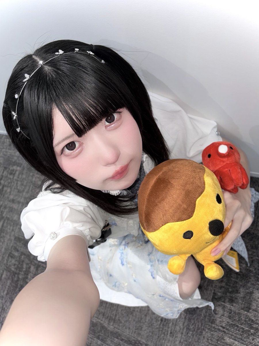 kanjosen_ame's tweet photo. たこるとタコベエ、今日からわたしの手下や https://t.co/BZ1e4LORzb