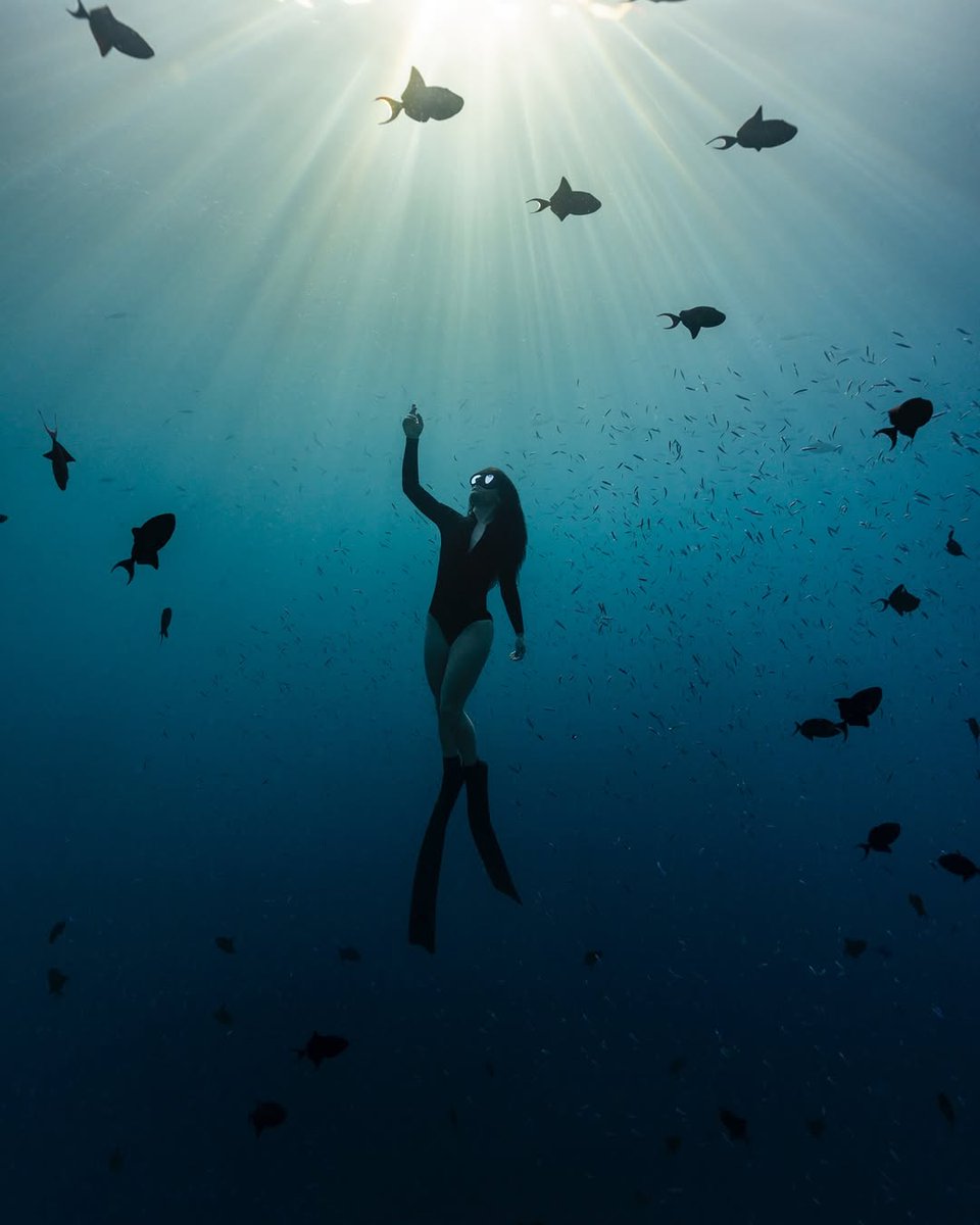 chester7gcd's tweet photo. ‘Still Blue’ — While traveling in the Maldives, we were treated to one of those rare mornings where everything just fell into place. No wind, no clouds, and incredible visibility. We headed out to a shallow coral reef near our anchorage, and the seco... https://t.co/3uMRK2e1CU