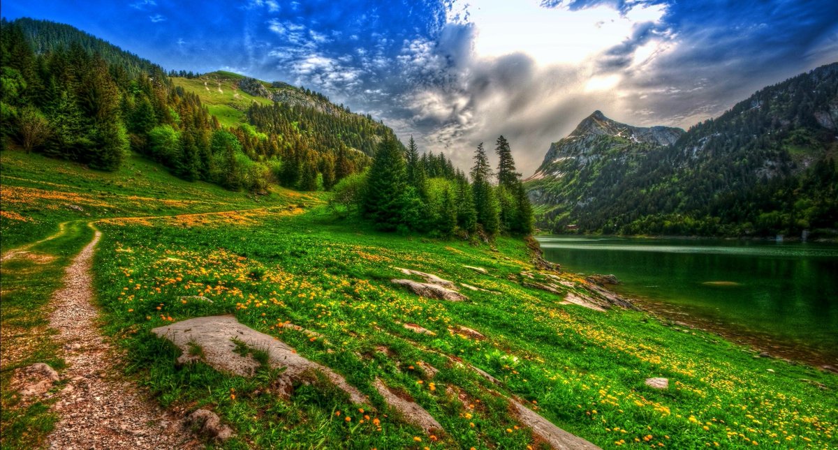 WayneLopezuq's tweet photo. Write this down: I am choosing abundance in all corners of my life. https://t.co/5glJxRLMb8