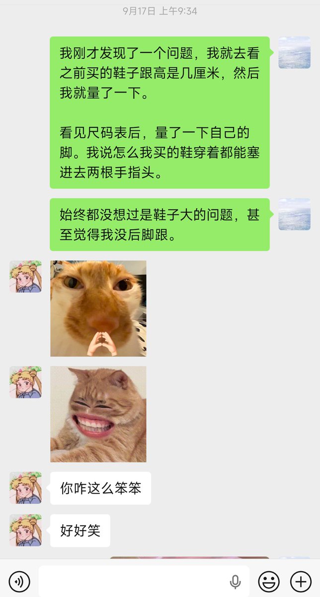 NapCat001's tweet photo. @zjl66667777 我的防备程度： https://t.co/qgCwHzbvtl