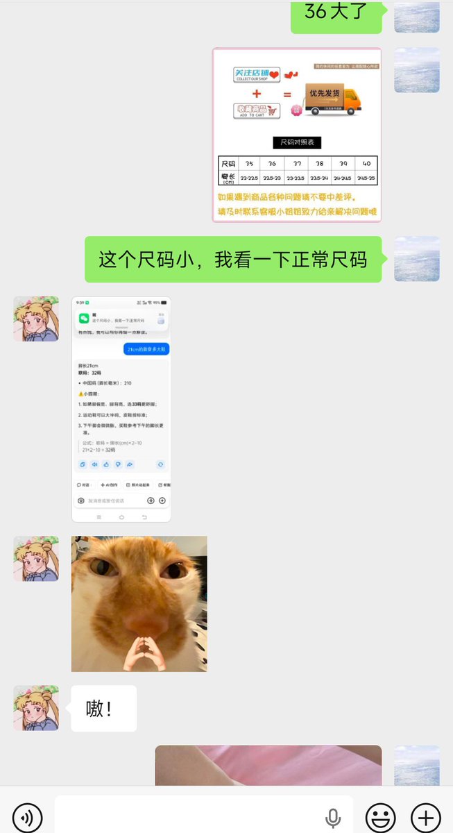 NapCat001's tweet photo. @zjl66667777 我的防备程度： https://t.co/qgCwHzbvtl
