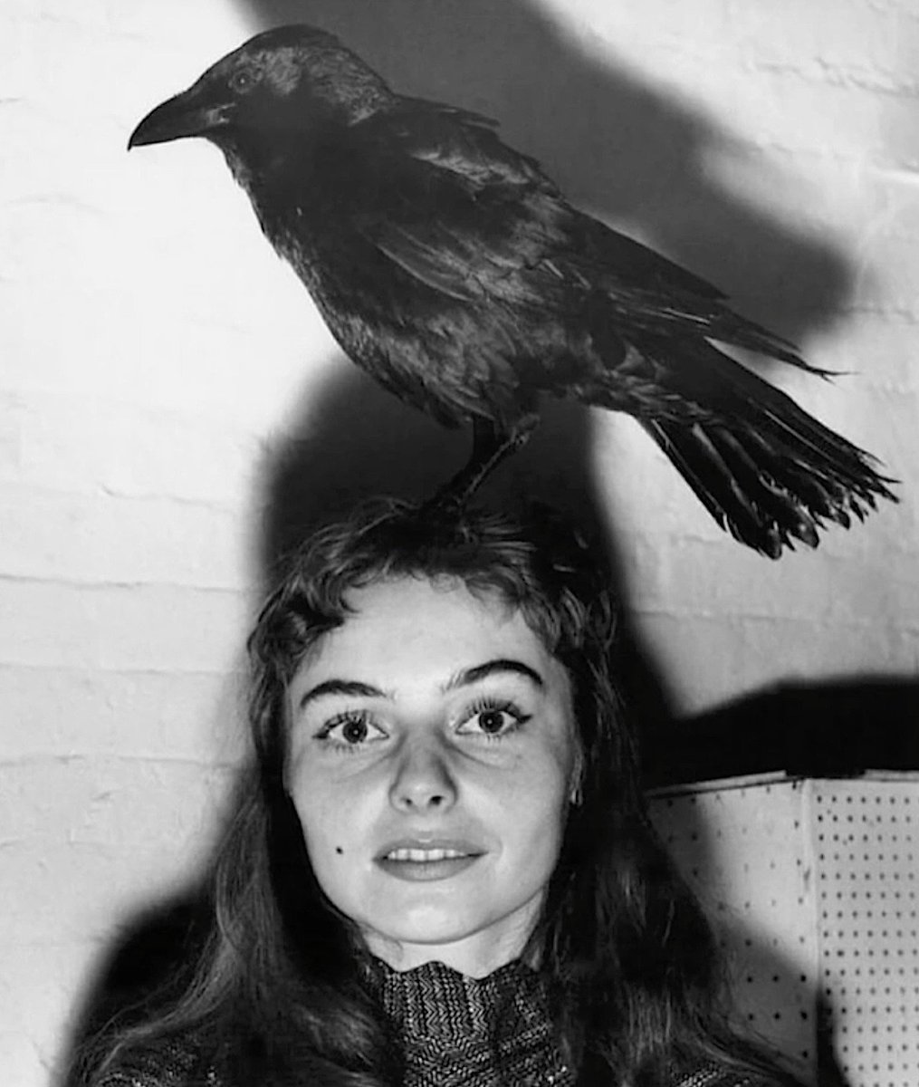 vintagestuff4's tweet photo. Woman With Her Crow
Weegee
c. 1950 https://t.co/0P8jwyJEjK