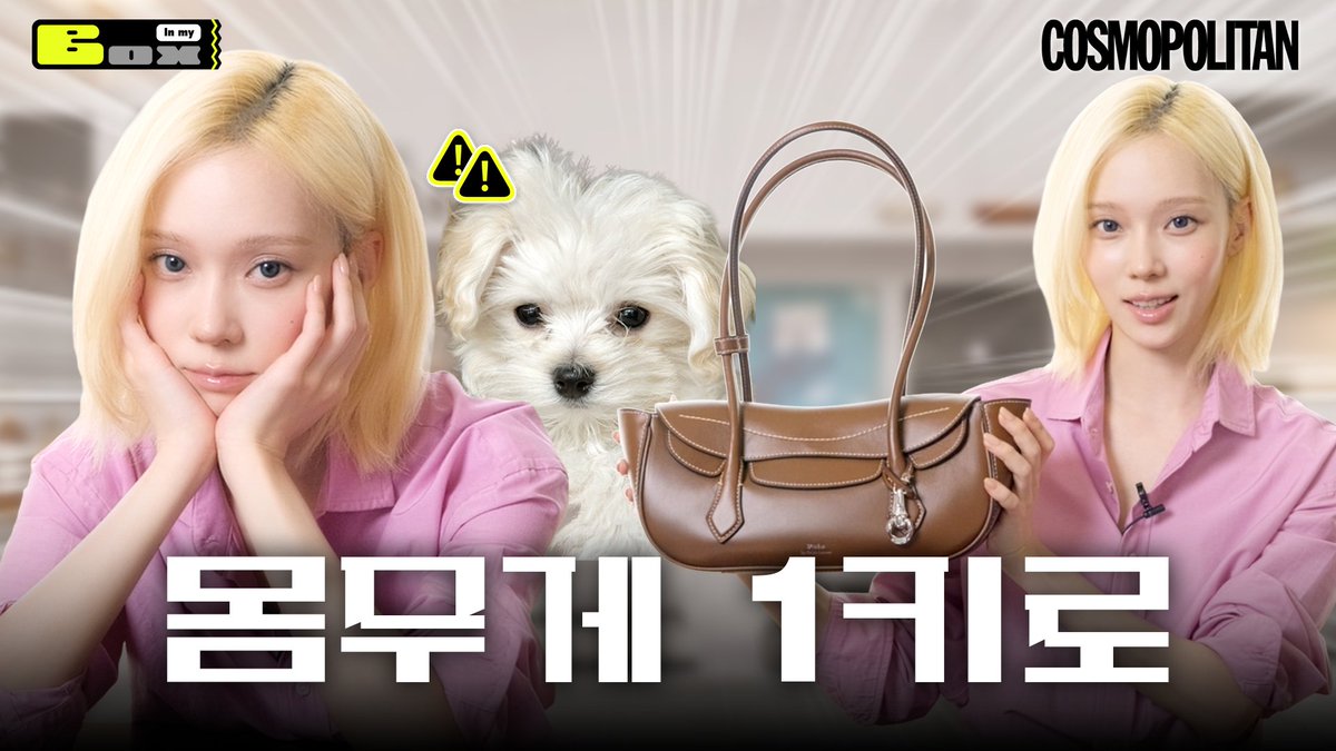 cosmokorea's tweet photo. 뽀뇨와 윈터 둘 중 누가 말티즈게요? 🐶🤍 윈터가 집에서 꼭 챙겨 나오고 싶은 최애템부터 취향 가득한 소장품 그리고 스페셜 게스트 ‘뽀뇨’까지! 윈터의 요즘을 몽땅 꺼내본 인마이박스, 지금 공개합니다.  

🔗https://t.co/LyD4wEoxmt

#윈터 #Winter #폴로랄프로렌 #제작비지원 https://t.co/KTEMMAvy9P