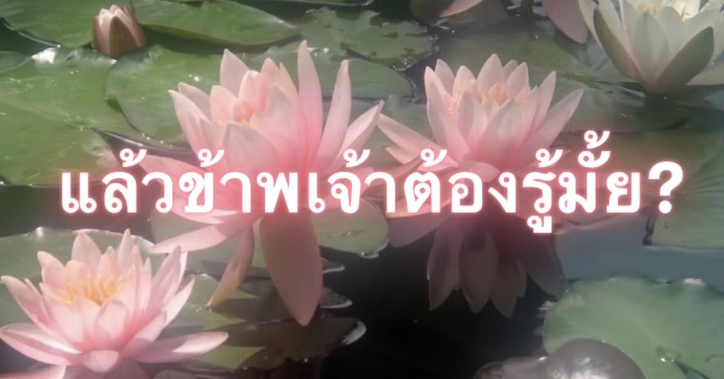 Iaunza's tweet photo. วอดส์ https://t.co/mufszrrFzC