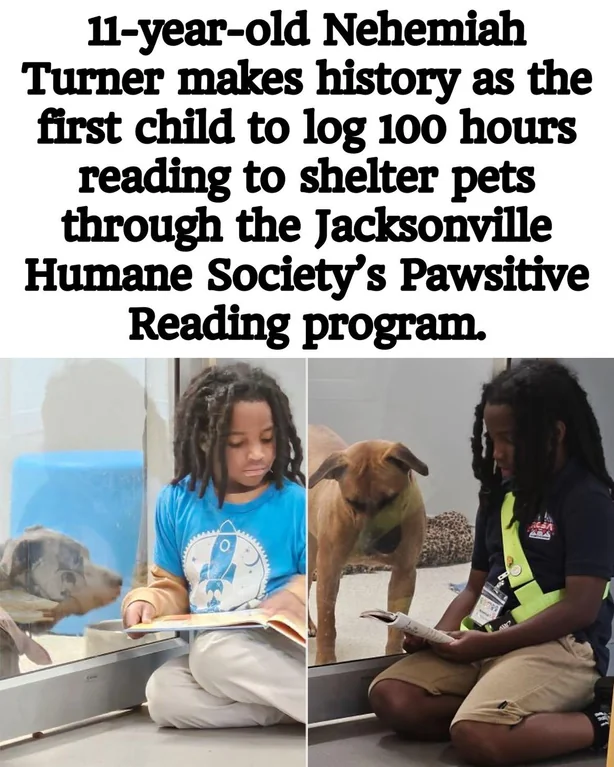 Rainmaker1973's tweet photo. 11-year-old completes 100 hours of reading to shelter pets. https://t.co/cfUn48QKCZ
