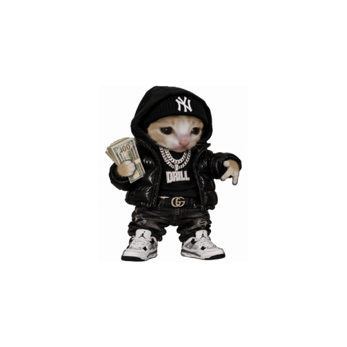 uncquant's tweet photo. TODAY IS NATIONAL NEW YORK DAY! 🗽

So why not run DRILLKITTY? 😭

The most demonic YN, drill listening thug in the city.. 

How have we NEVER memed a NY cat before?! https://t.co/V9Z5Bx3qMK