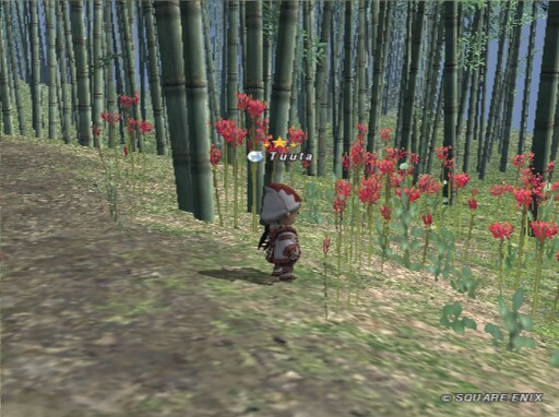 konyanko2's tweet photo. #FF11
彼岸花の季節ですね。
アルブメン戦、なんかバタバタしてますが・・・
いいんです。作戦なんです。よね？ https://t.co/QdfBQ2Xcx2