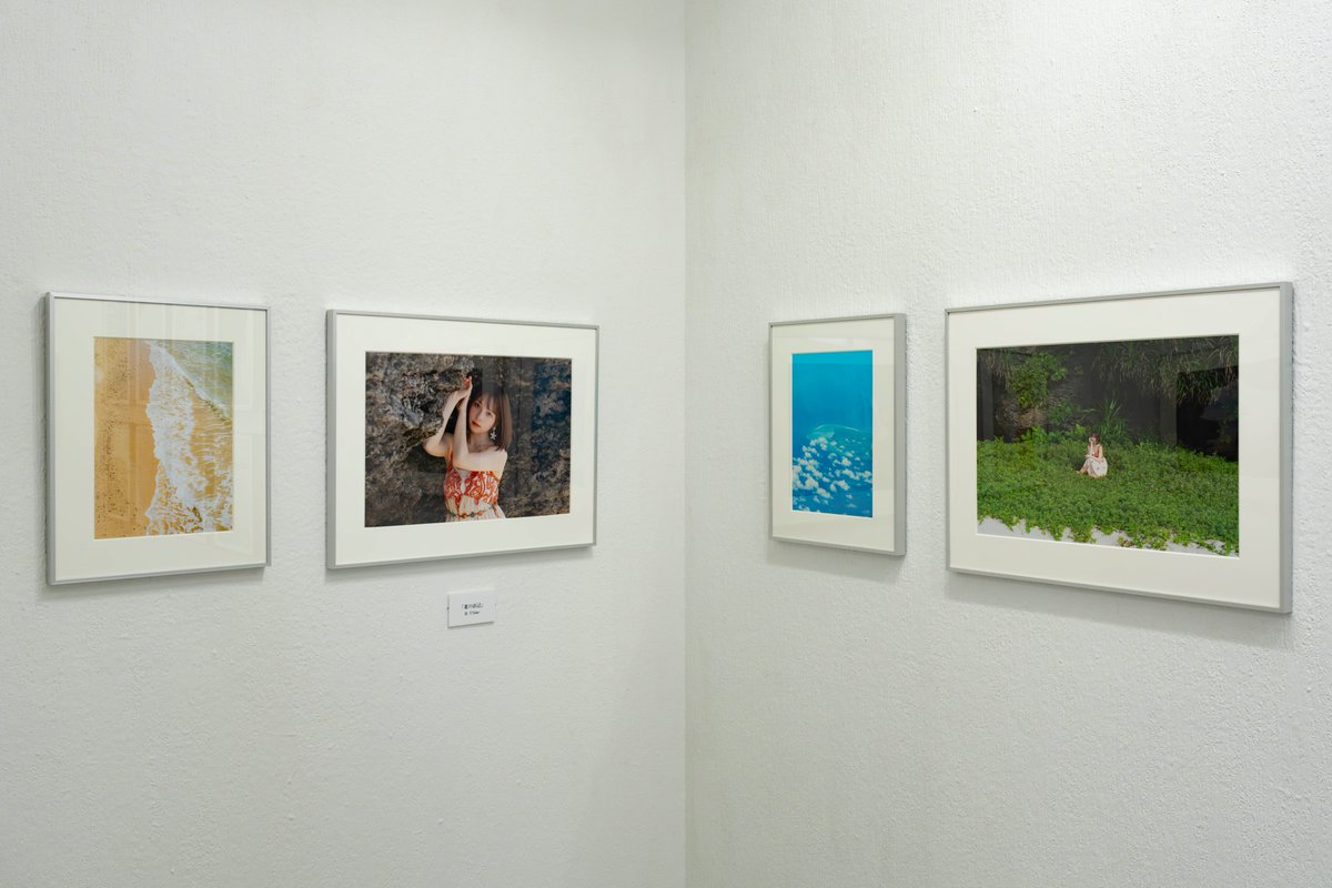 Photo_Tokyo2020's tweet photo. True Colors 2026 へ足を運んでくださった皆さま、作品への温かいコメントを寄せてくださった皆さま、誠にありがとうございました。
今回は沖縄の豊かな自然が織りなす美しい色彩を9枚組の構成で表現いたしました。
「この景色や色を、実際に見てみたい」と感じていただけたなら、この上ない幸せです。 https://t.co/bulBdnDdGv