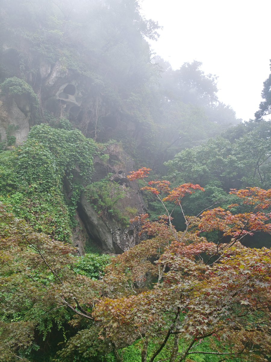 Yuki_55555's tweet photo. 山寺（宝珠山立石寺）に行ってきました。
時折雨降る中1015段上りました。
山寺一のビュースポットは真っ白〜 https://t.co/3vdVE7oqWC