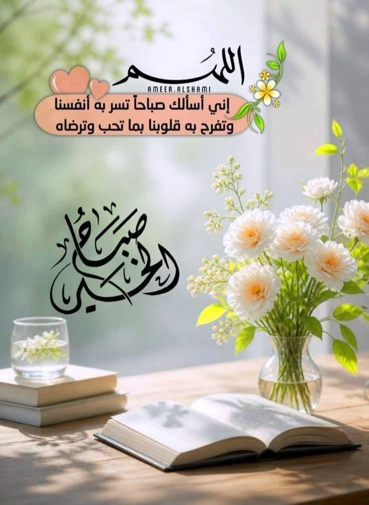 samsamrd's tweet photo. @HabibaM92720753 https://t.co/AHANOr7Hcf