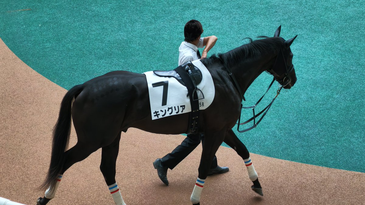 K_Victor_more's tweet photo. キングリアおめでとう！ https://t.co/gTEsTk7ghb