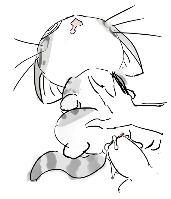 godforgiveme04's tweet photo. Chi

Weekly Patreon Sketch for Frosty https://t.co/AuePqvN6Df