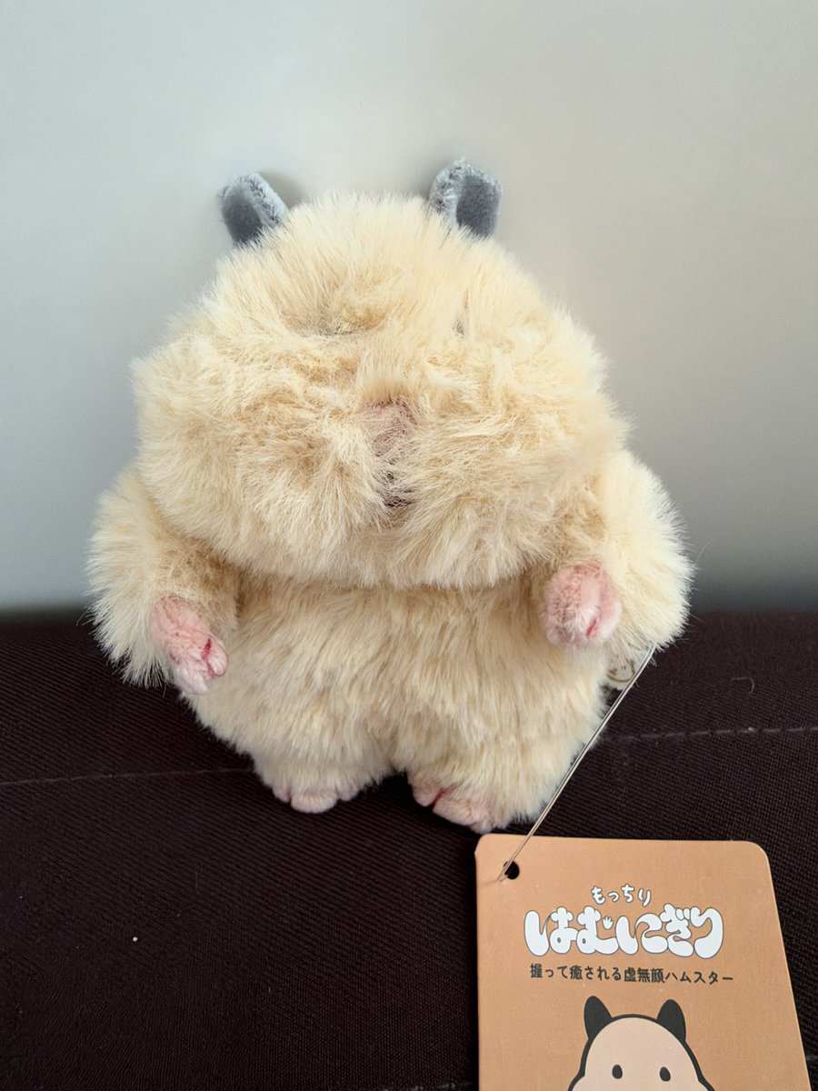 owner__SS's tweet photo. お迎えしてきました🐹🤎
毛が長くてお顔が見えませんけども😂 https://t.co/f7zN6PFFGn