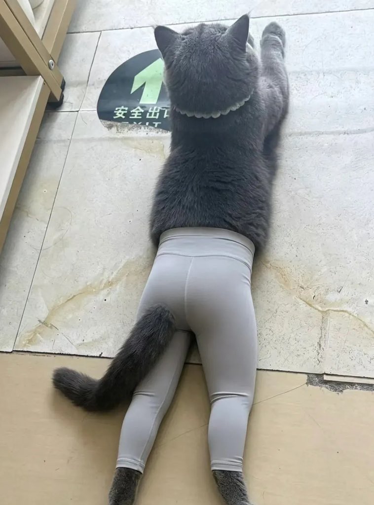 itsufika's tweet photo. kalo ngeliat ini masih ngakak wkwk ngepres amat kayak mau pilates 😭 https://t.co/EYLdw0B3N5