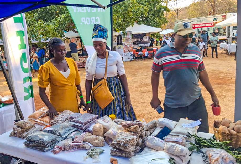 HarvestPlusZim's tweet photo. Gumisai Chinyanga showcased biofortified crops at the 2026 Good Food &amp; Seed Festival in Harare, earning enough from her sales to invest in a 450W solar panel &amp; knapsack sprayer.

How did she do it? Read the full story: https://t.co/BUsy7IMemD https://t.co/HTmrdWsKeI
