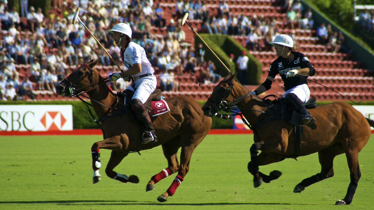 KarnataBala01's tweet photo. The official sport of Karnataka should be Polo.

We Kannadigas seem to have played one of the earliest forms of polo (Pre-Islamic but might be a Sassanian Import??). 

The Manasollasa by Someshvara III describes a unique form of the game &amp; it even appears in Karnataka’s reliefs. https://t.co/zJyRKRGhrD
