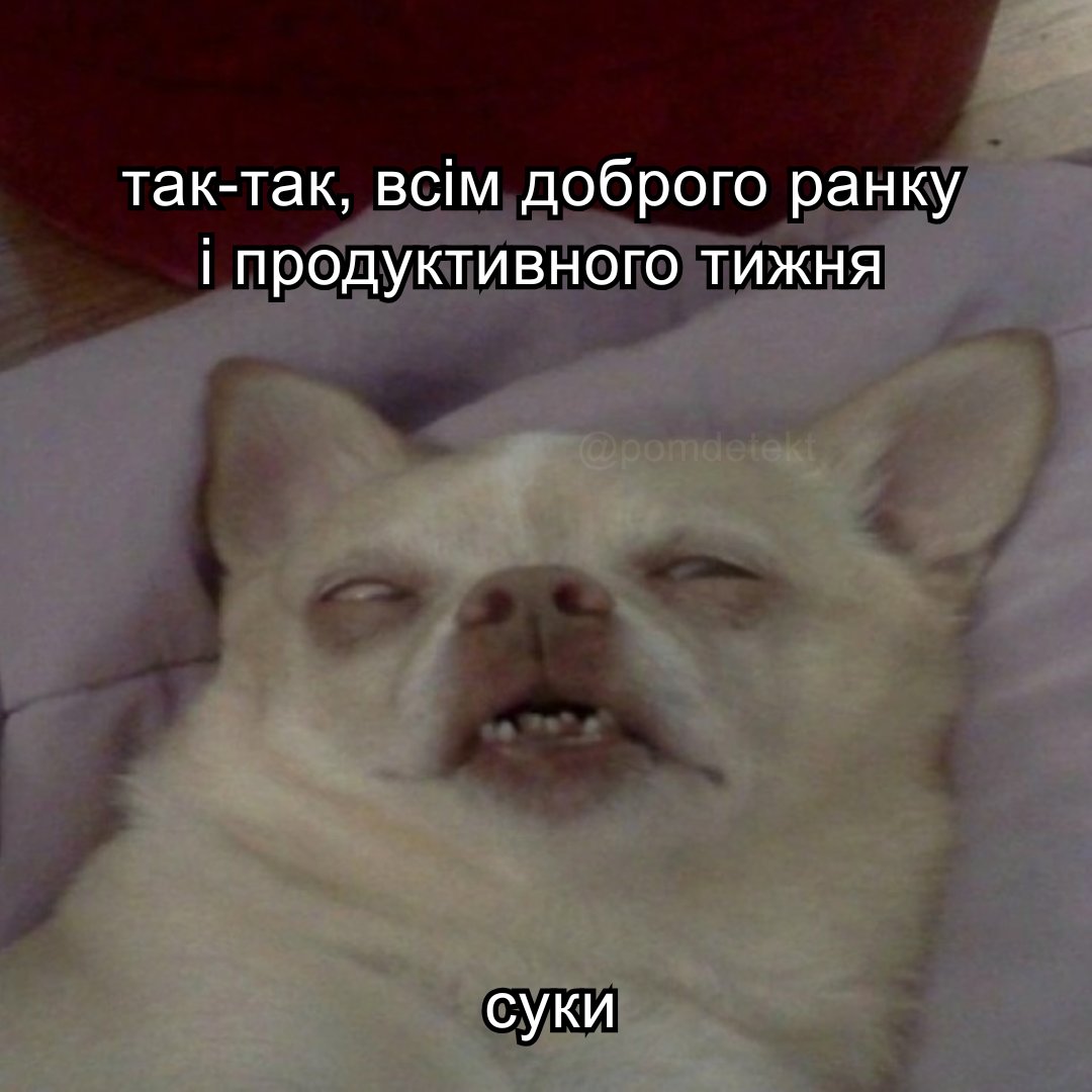 pomdetekt's tweet photo. Драсьтє
#меми https://t.co/cEn9ZTee98