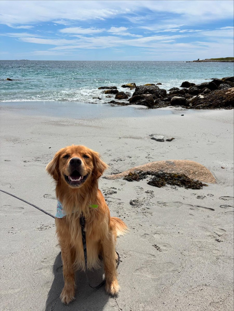 StaceeAlph8mjh's tweet photo. Had such a fun time exploring the south shore with Mom and Dad! If only Mom would stop asking me to pose so I could actually enjoy myself. https://t.co/Tb07QfiFRr