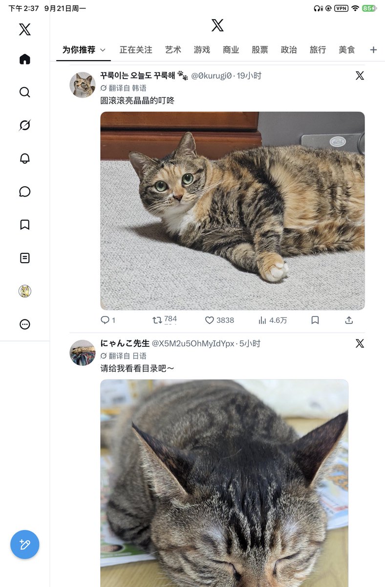 HarrisK047's tweet photo. 我的x现在全是毛片！ https://t.co/qa9d7PlEsg