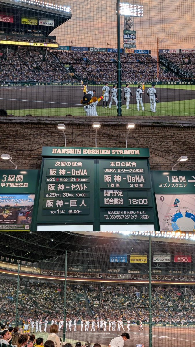 __solbloom's tweet photo. 人生二度目の野球観戦！めちゃ近い席で沢山楽しめました！！！
密かに気になってた選手のタオルを無事購入したのでまた行きたいな😌 https://t.co/KLjA5I1nA1