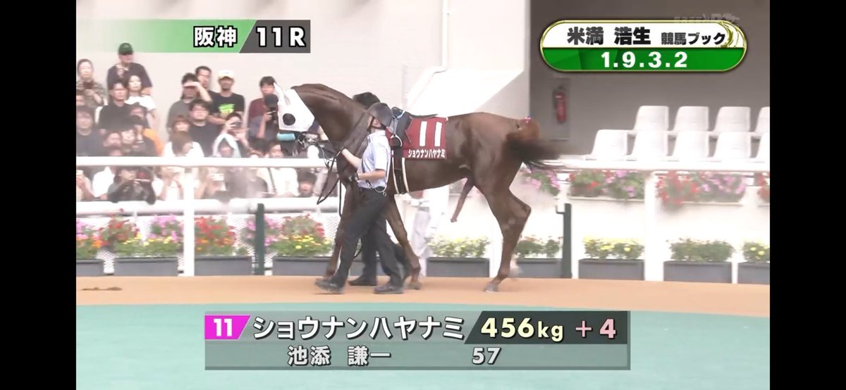 HORSE_SSG's tweet photo. ショウナンハヤナミ本命やけどこれはアカンかw https://t.co/XfHpRN1uq8