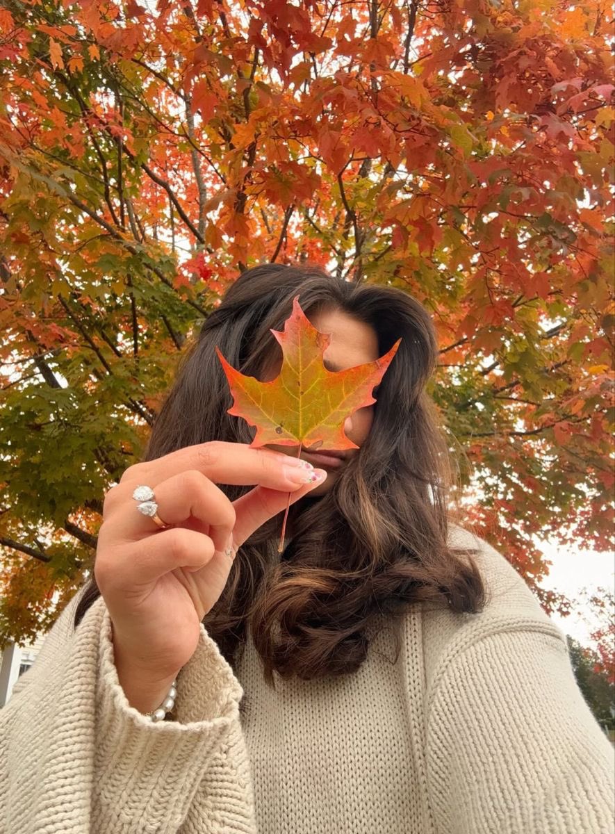Diorgirlx's tweet photo. autumn morning https://t.co/PMJZG6h8hy