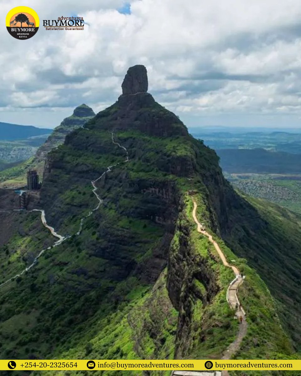 Buymoadventures tweet picture