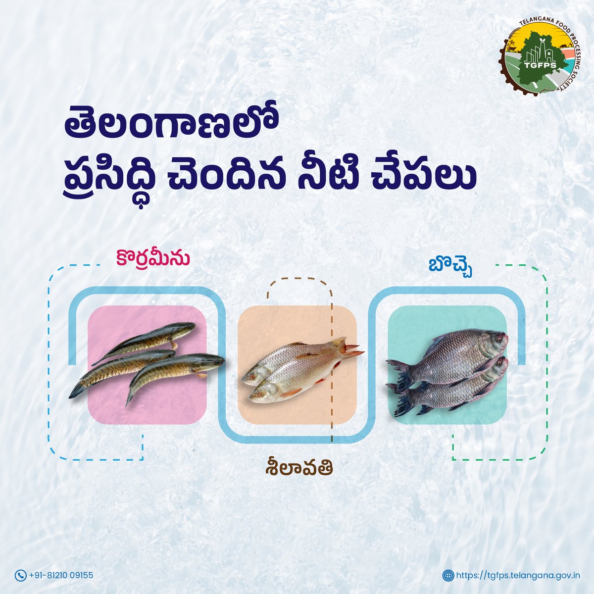 Telangana_FPS's tweet photo. మిగిలిపోయిన పదార్థాలను వృథా చేయకుండా, ఆహార ప్రాసెసింగ్ ద్వారా మరో ఉపయోగకరమైన ఉత్పత్తిగా మార్చుకోవచ్చు. అలాంటి ఒక ఉదాహరణను తెలుసుకొండి!
#Rohu #Katla #Murrel #FisheriesIndia #TGFPS #FoodProcessing #LocalCuisine #FavouriteFood #Telangana #FreshwaterFish #Pisciculture https://t.co/Vw7lhfHWwg