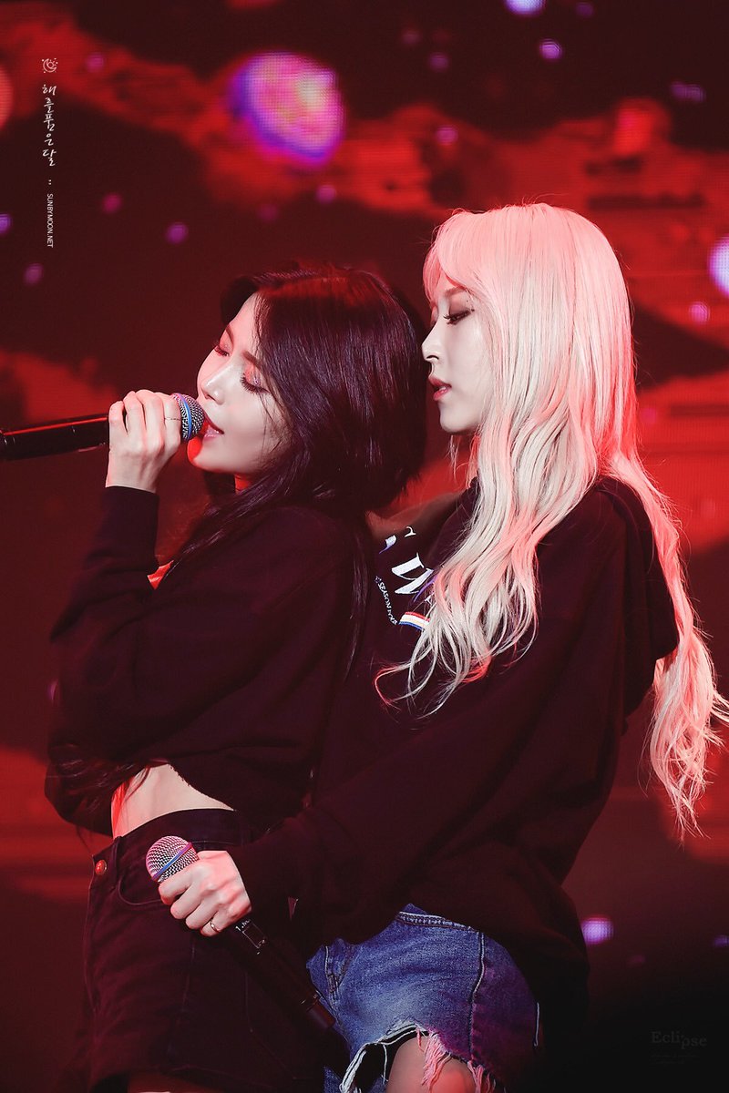 _punsandroses_'s tweet photo. did you mean... https://t.co/u71OLExZQo