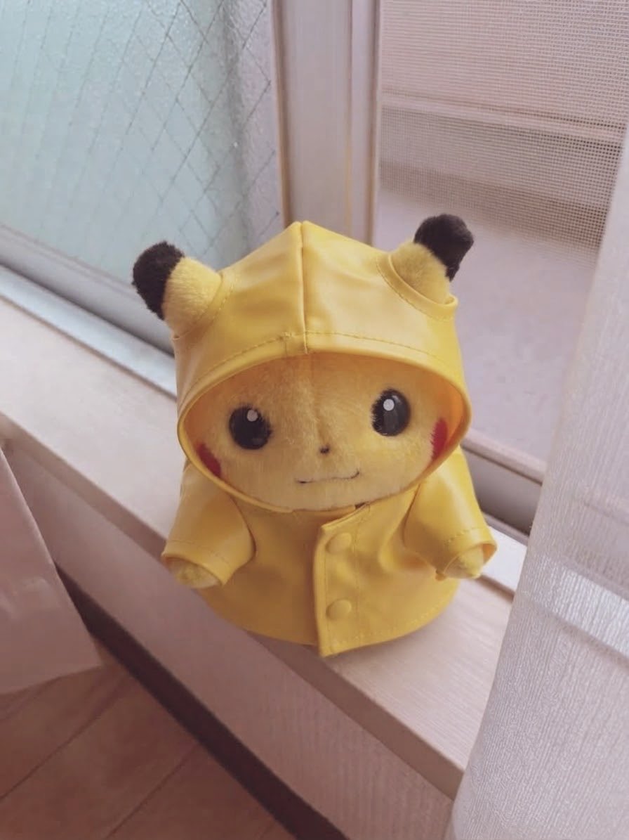 piopio_PIKA's tweet photo. どこにも行かないよ？😅 https://t.co/hvGOpFPswt