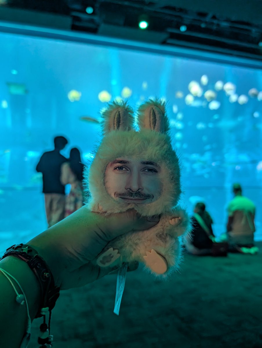 hephasst's tweet photo. I brought Rygugu to the aquarium https://t.co/7EjisaZQYx