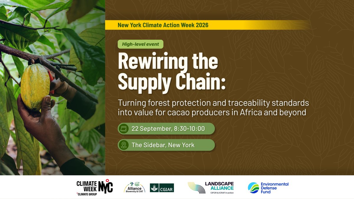 BiovIntCIAT_eng's tweet photo. Can traceability make cocoa supply chains better for forests and farmers?
Join us at #ClimateWeekNYC to explore how to create more value for cacao producers.
📅 22 Sept | 🕐 8:30–10:00 AM | 📍 The Sidebar
🔗 https://t.co/2bU7RLf0jm 
@EnvDefenseFund | @TheLandAlliance https://t.co/FuGIZYZREb