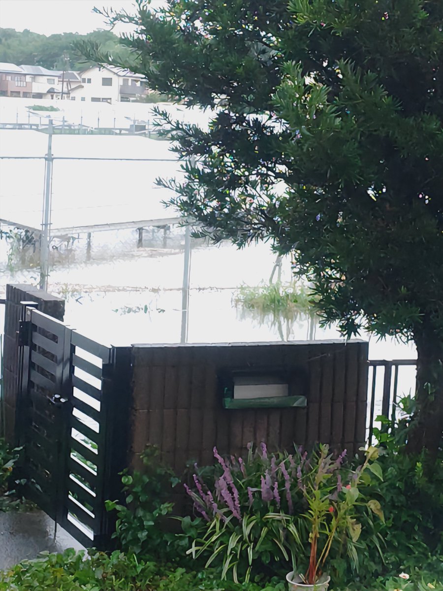 siiponlove's tweet photo. 千葉豪雨でもここまでならなかったんだが、今コレ( ´-ω-)y‐┛~~ https://t.co/SmHYN4YPa6