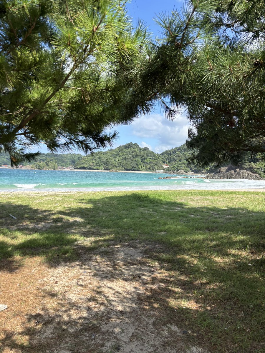 SONY201870's tweet photo. ミセスの夏すぎる🌞🌴🌺✨ https://t.co/01uJmlwljo