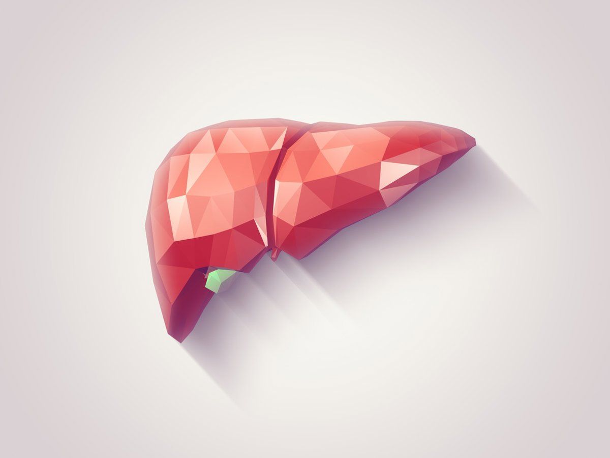 stamamesg's tweet photo. El hígado graso puede avanzar en silencio mucho antes de lo esperado; un estudio identifica quién tiene mayor riesgo de desarrollar cirrosis antes de los 50

https://t.co/CYgROYCE7M https://t.co/Os3Gbh2634