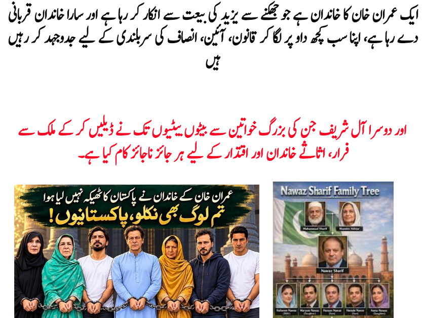 SabeeKazmi786's tweet photo. فرق صاف ظاہر ہے۔ https://t.co/xELNHqP7se