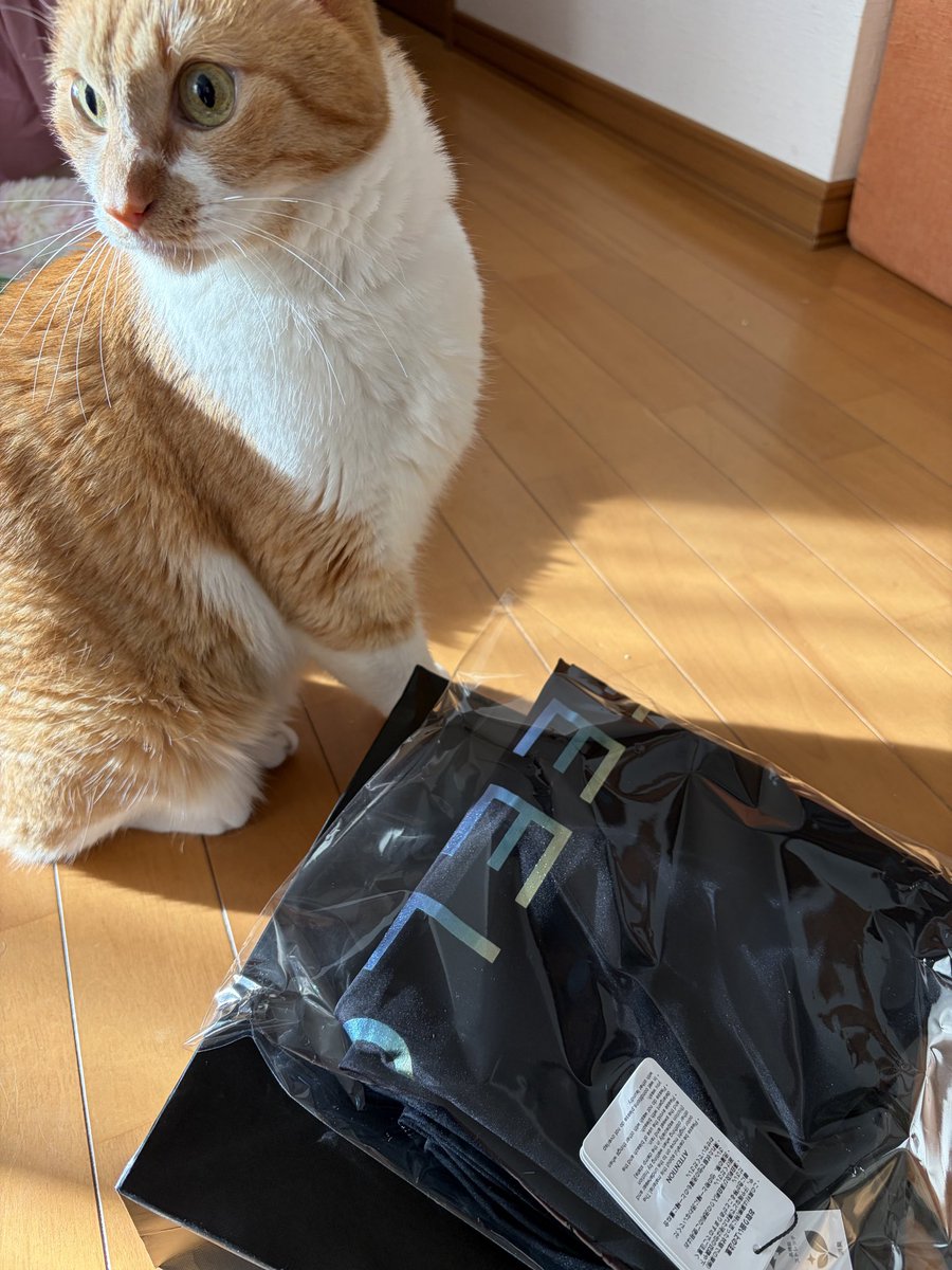 uraramura's tweet photo. あたしが行く頃には買い漁られてすっからかーんのラックしかないんだろうなとおもって今日行ったら意外と残っててこのレギンスをお持ち帰りしてきた。絶対青みが多いやつがよかったのでうれぴぃ。メンズのパンツはでますかねぇ。出てデザインよかったらきっと買ってしまうんだよね。 https://t.co/sC99oHrJHT