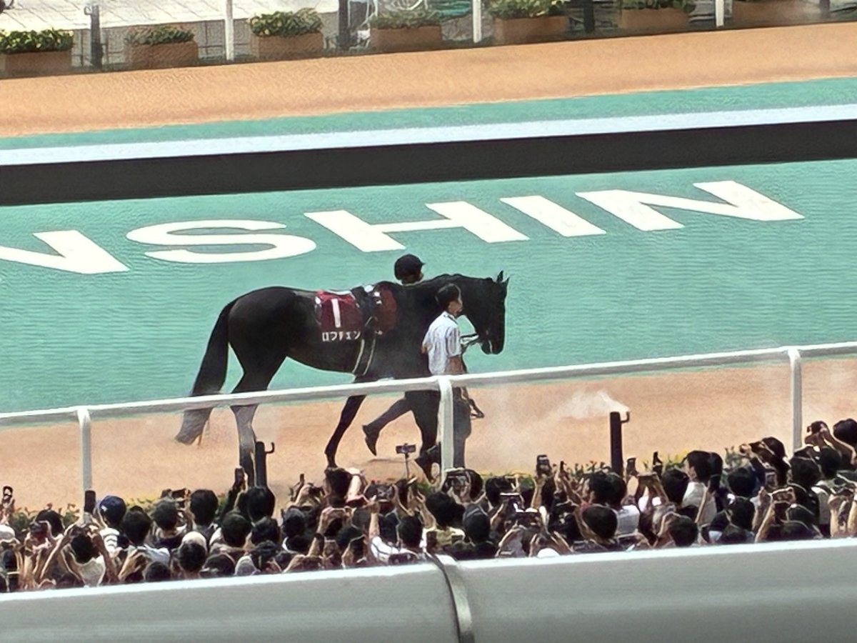 black_magic468's tweet photo. ロブチェン、本番を見据えた良い内容！
本番はさらにパフォーマンスを上げてくれるはず！
三冠期待🏆 https://t.co/aAq60BGixP