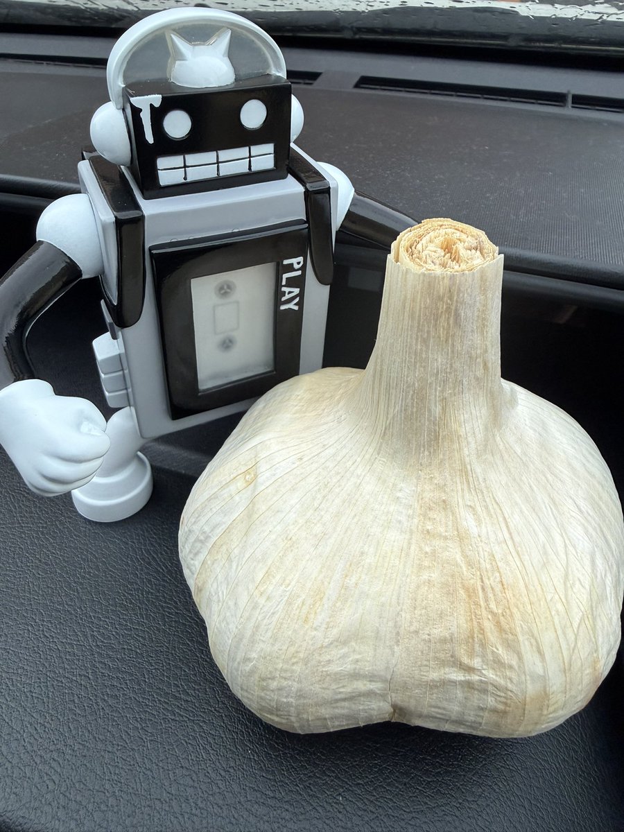 mishima04's tweet photo. と言うわけで仕事の間をぬってキン肉マンミュージアムでグリーティングに参加
今日は危険物（巨大ニンニク）持ち込む。
キン肉マンも大興奮。炙るのに必要だからライターは持ってないのかと聞かれましたwww（写真４枚目）
館長、キン肉マン、スタッフさん、いつもありがとうございます😊 https://t.co/gNua4p2A1c