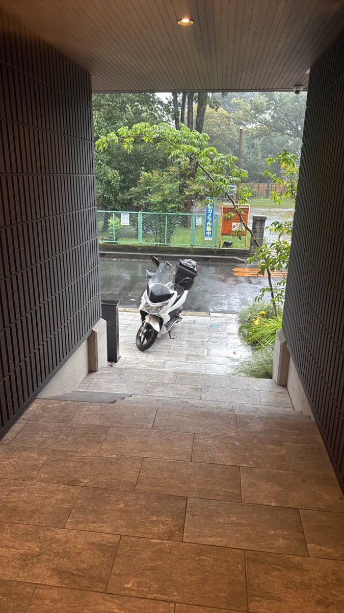 yuji_fooddelip's tweet photo. ごめんPCXくんワイ戻りたく無い…

PCX「はよ乗れや奴隷」
ワイ「はひぃ！」 https://t.co/SCGhJL4J6d